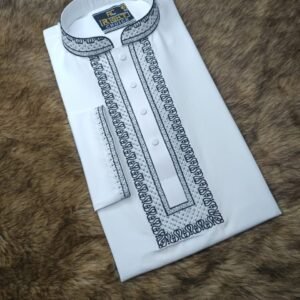 Stretch Embroidery Panjabi kolka Design -White